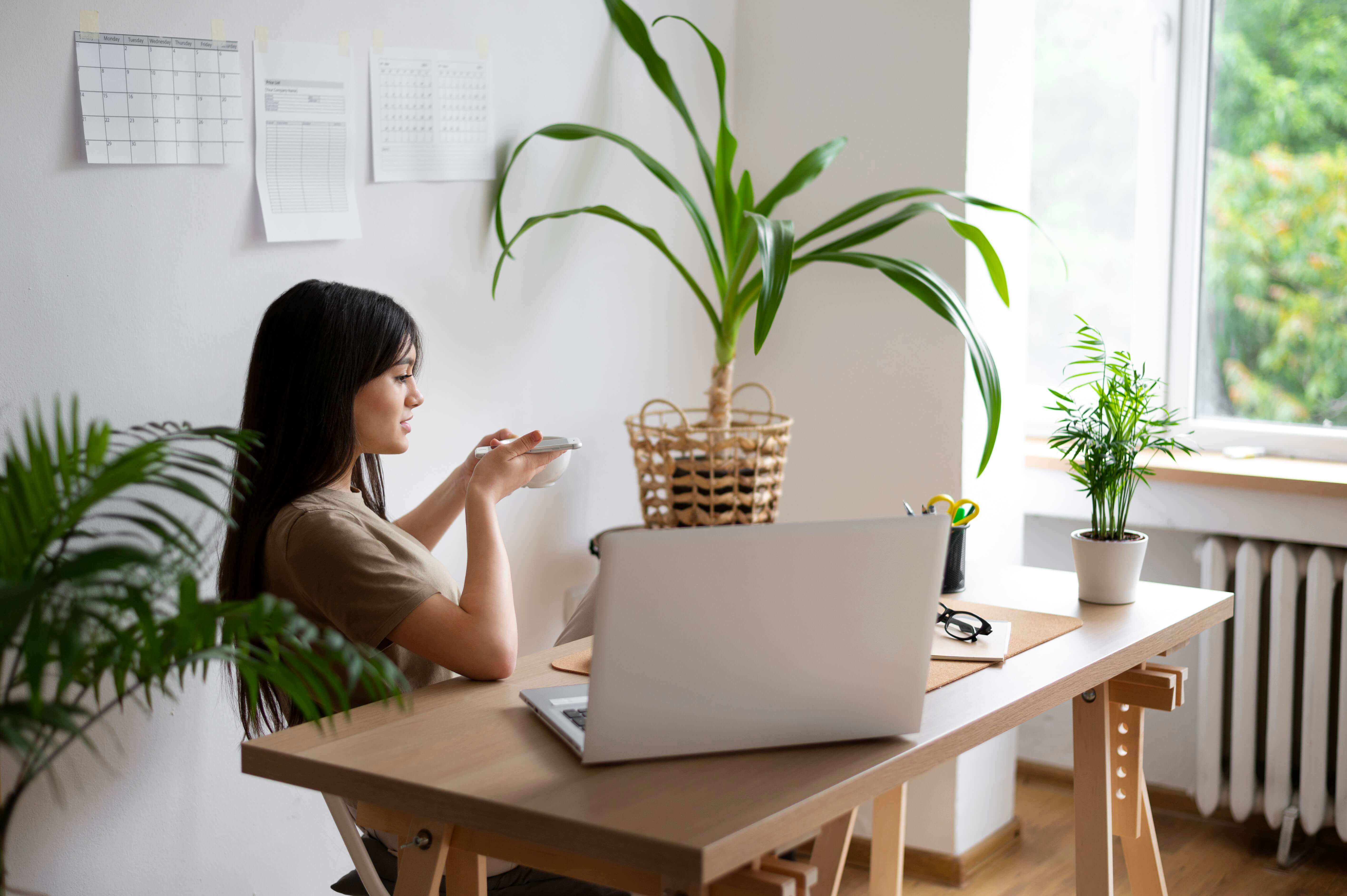 Tips for Choosing the Right WHMCS Theme